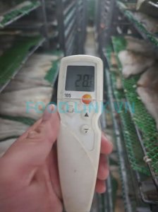 Temperature inspection in seafood drying room