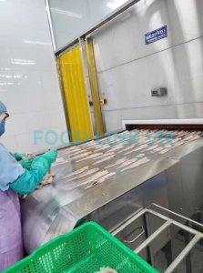 OEM fish fillets on IQF freezing line