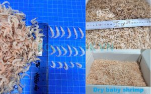 Dried baby shrimp inspection during production and packing in Vietnam
