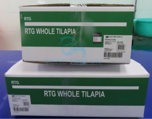 Farm raised fish cartons ready for container loading