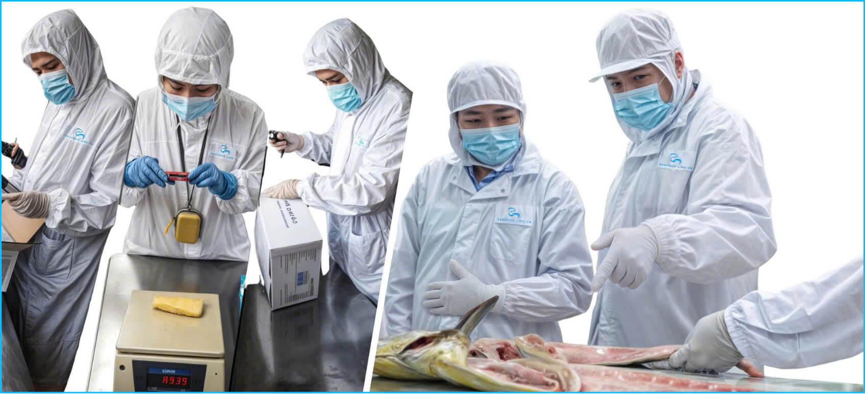 Vietnam seafood supplier and quality control partner supporting global buyers during factory visits