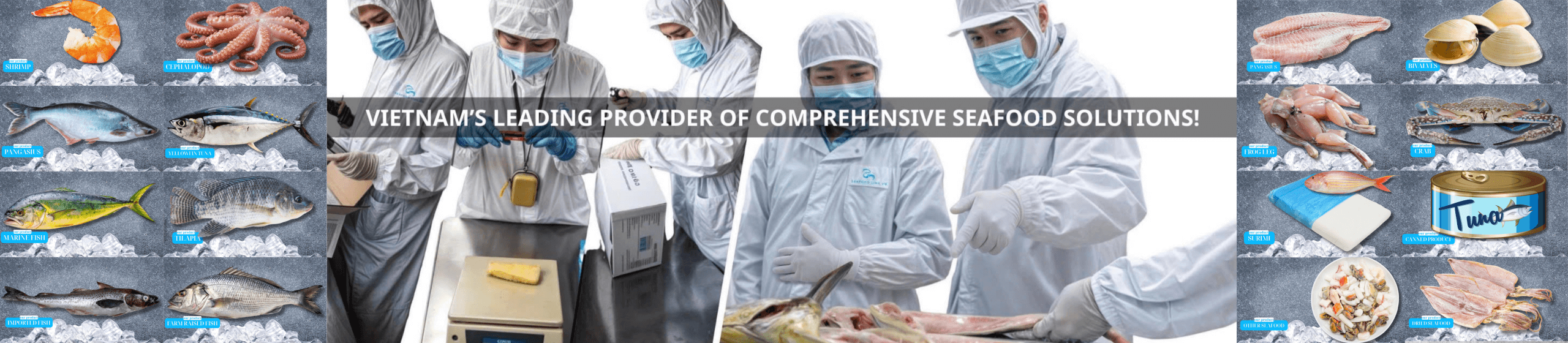 Professional Vietnam seafood QC services Inspecting Frozen Seafood For Export Quality
