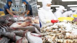 Top 10 Vietnamese seafood products processed in Vietnam seafood factory