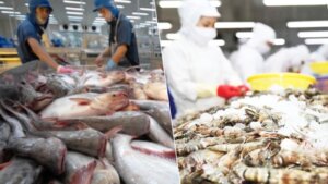 Top 10 Vietnamese seafood products processed in Vietnam seafood factory