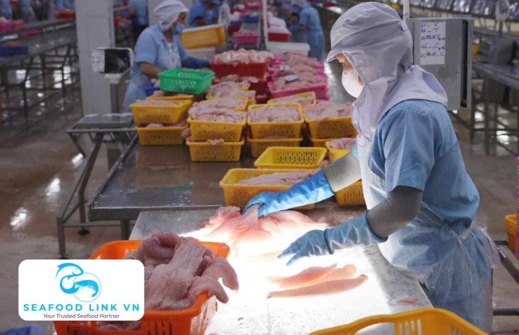 Pangasius Supplier Vietnam quality control inspection