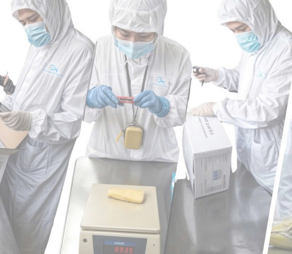 Seafood inspection in Vietnam checking frozen seafood quality before export shipment