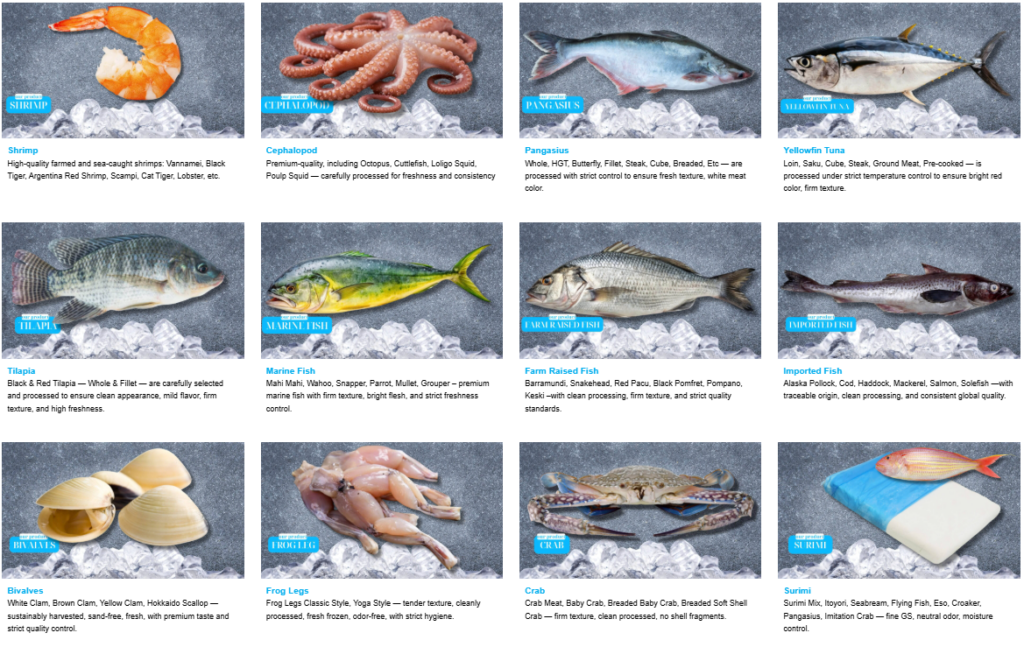 Top seafood products exported from Vietnam including shrimp pangasius tuna squid and surimi