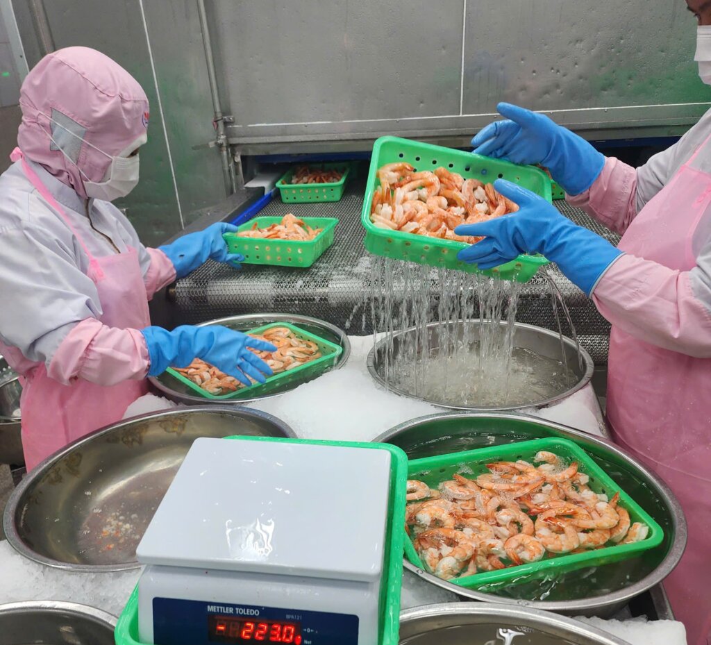 Top Vietnam Shrimp Factories conducting quality control inspection before shipment