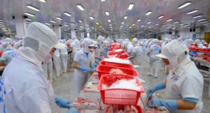 Vietnam seafood exporter processing frozen seafood in modern factory