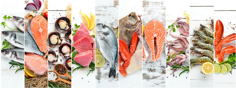 Vietnam seafood exporter frozen seafood products ready for export