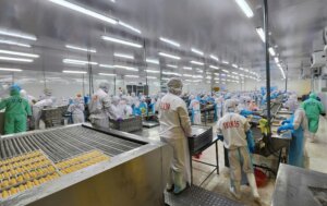 Vietnam seafood suppliers processing frozen seafood in modern factory