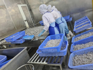 Vietnam shrimp supplier 2026 quality control inspection before export