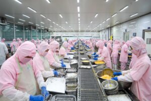vietnam vannamei shrimp exporter processing shrimp in factory