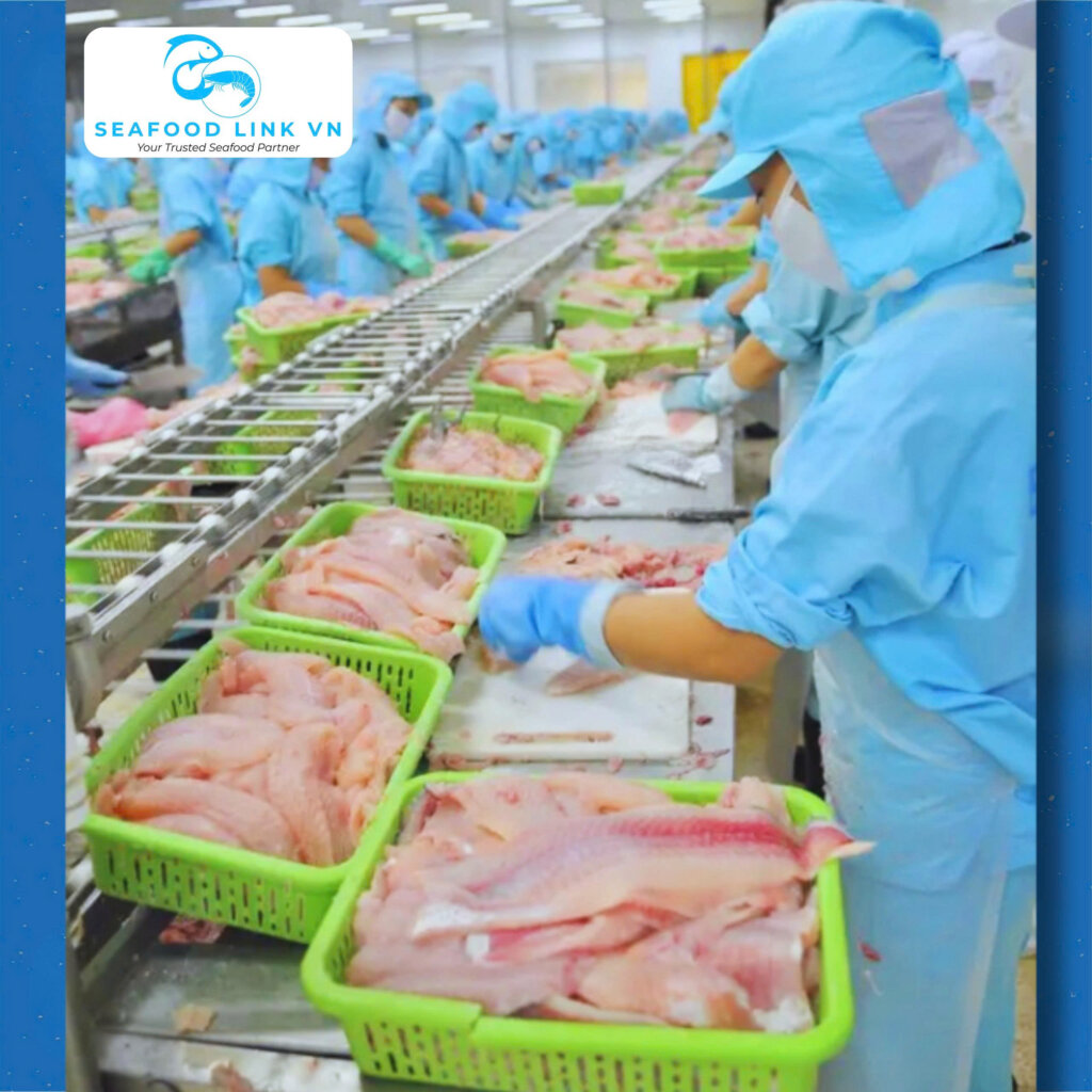 Pangasius Export from Vietnam production in Mekong Delta aquaculture system