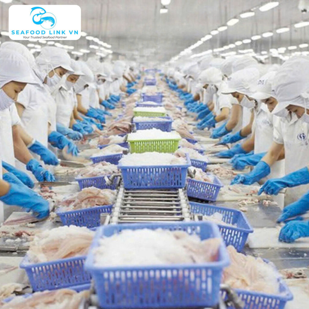 Pangasius Factory Vietnam processing line fillet production