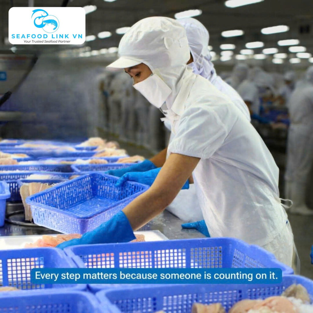 Pangasius Quality Control Vietnam export inspection process
