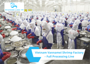 vannamei shrimp processing Vietnam in seafood factory
