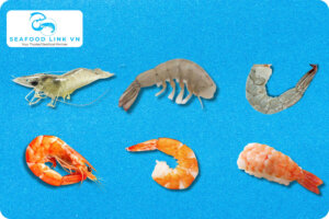 Vannamei Shrimp Price Vietnam premium shrimp products