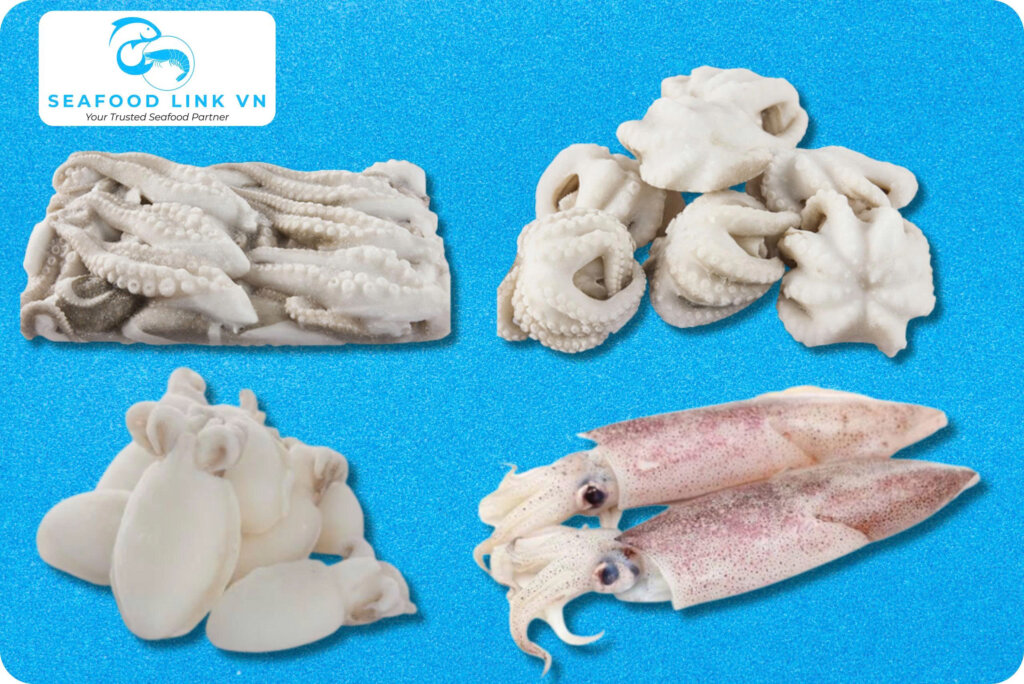 Vietnam Cephalopod Supplier
