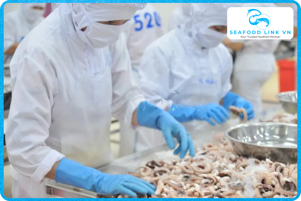 Vietnam Cephalopod Supplier