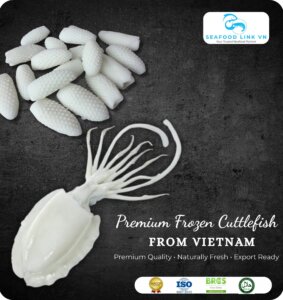 Vietnam Frozen Cuttlefish Supplier