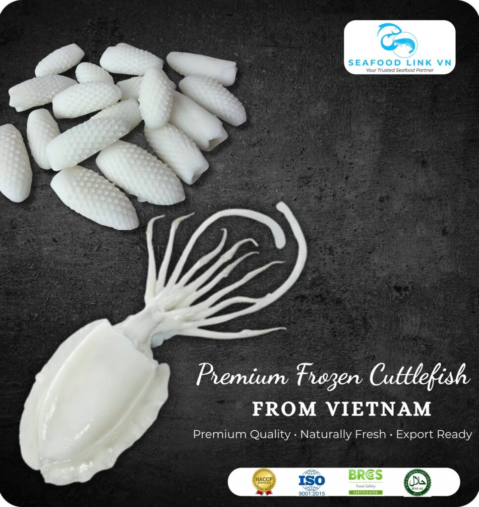 Vietnam Frozen Cuttlefish Supplier