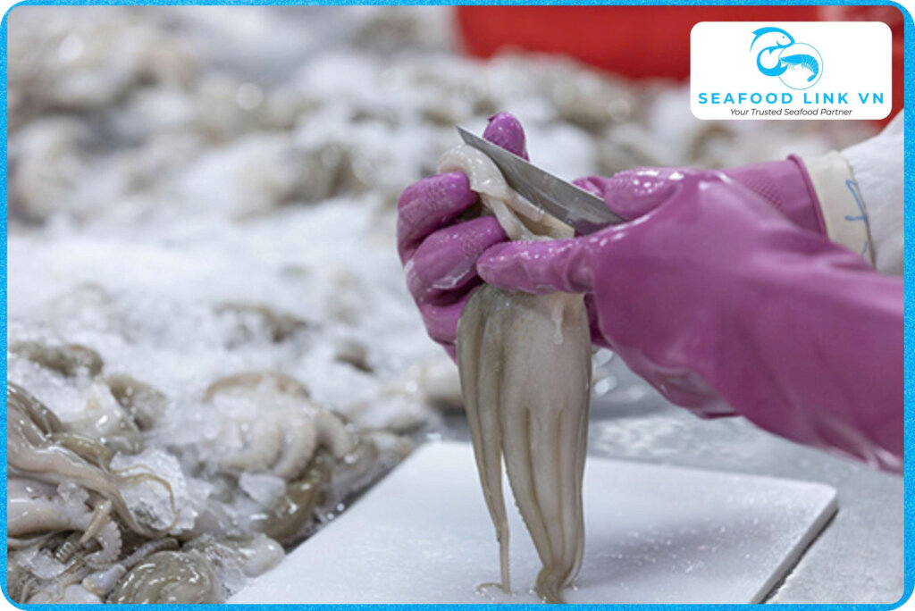 Vietnam Frozen Octopus Supplier