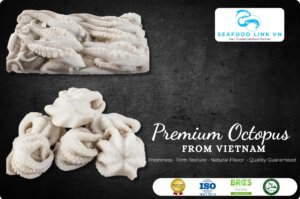 Vietnam Frozen Octopus Supplier