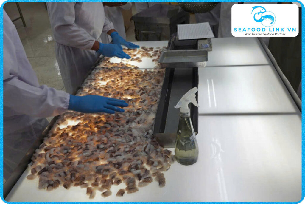 Vietnam Frozen Poulp Squid Supplier