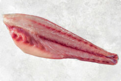 Premium Frozen Red Drum Fillet from Vietnam – Seafood Link VN