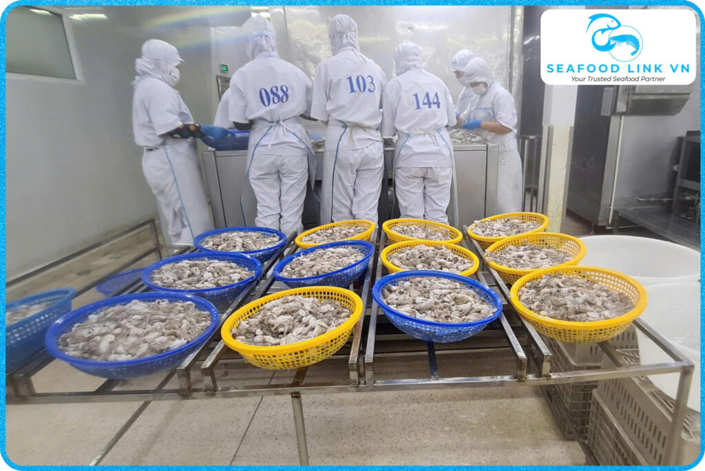 How Frozen Octopus Is Processed in Vietnam