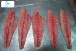 Red Drum Fillet portions before IQF freezing – Vietnam Seafood Link VN