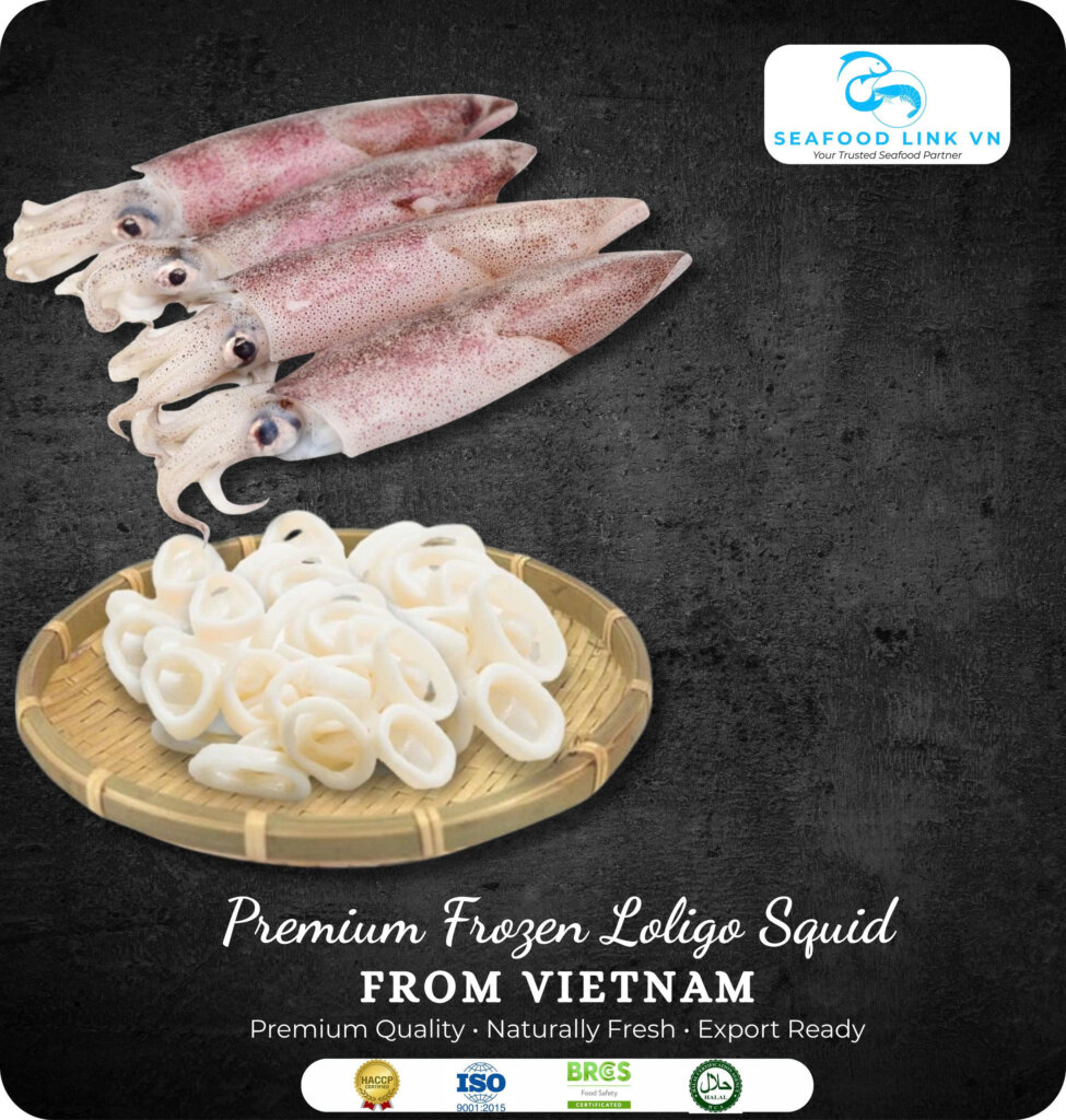 Vietnam Frozen Loligo Squid Supplier